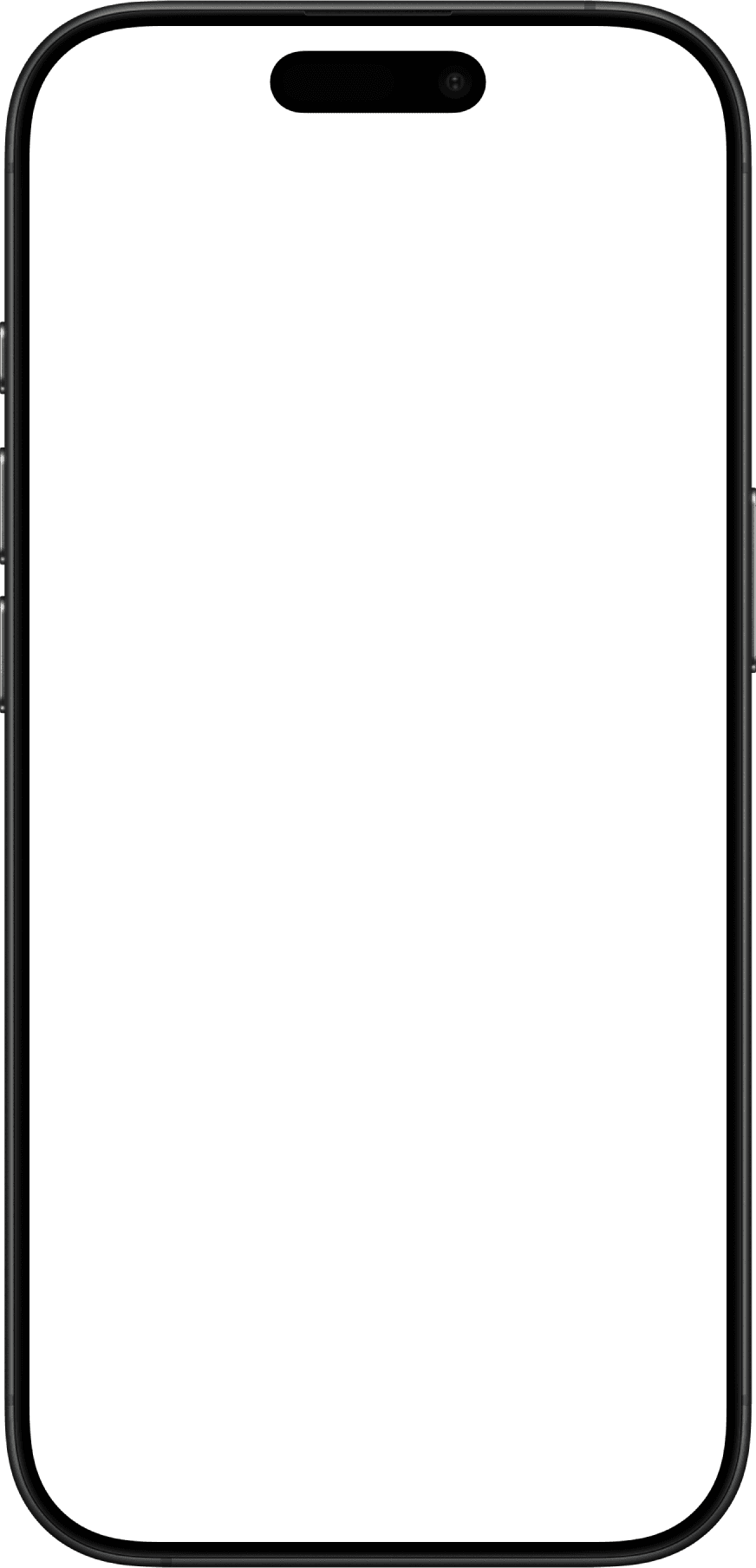 iPhone Display Blank