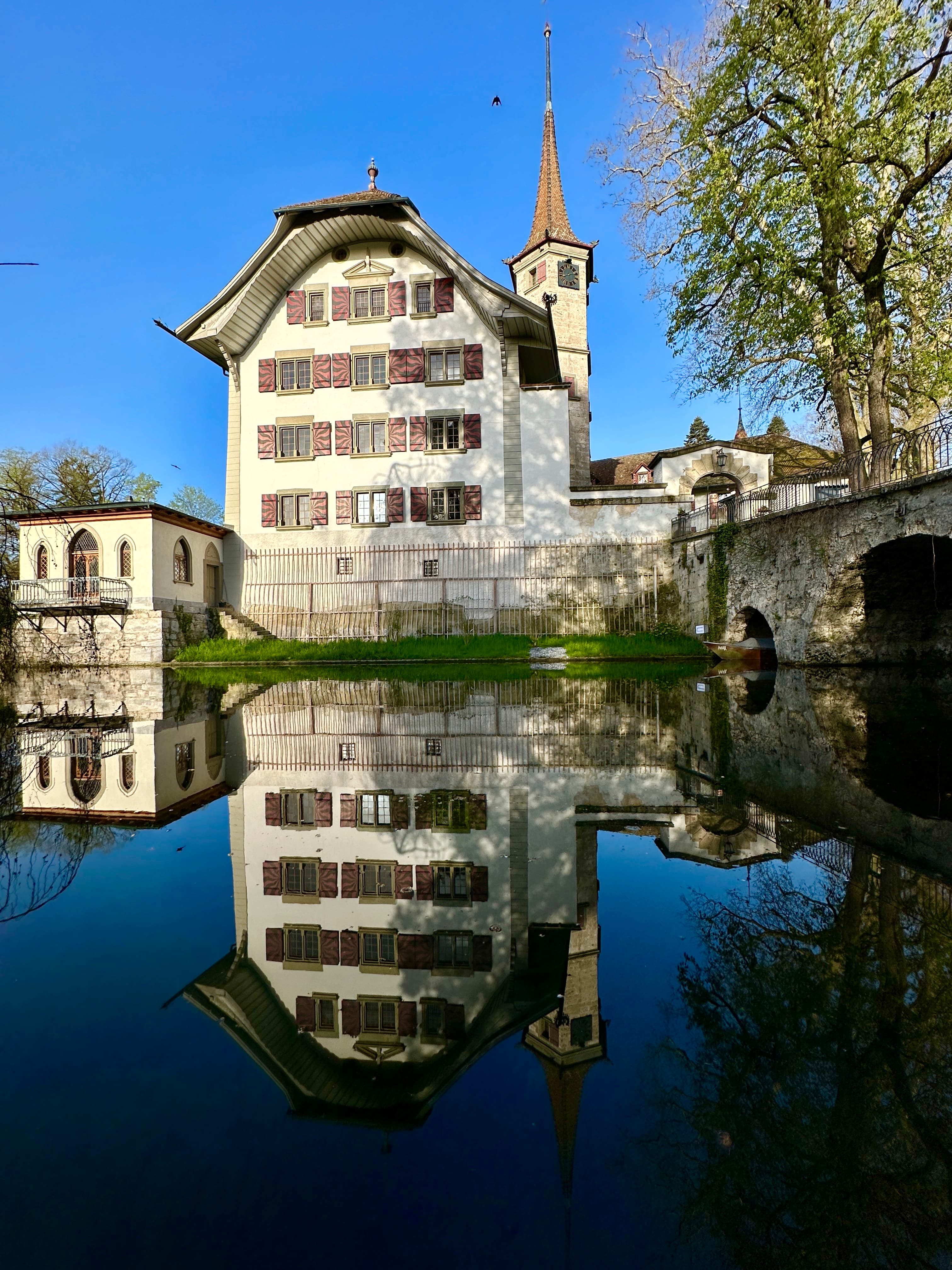 Landshut Schloss Spiegelbild hoch